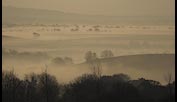 Cornish Mist by John Gribble