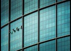 Window Cleaning in Dubai by Dave Rayers