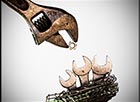 Lesser Spotted Wrench Feeding Young by David Gent